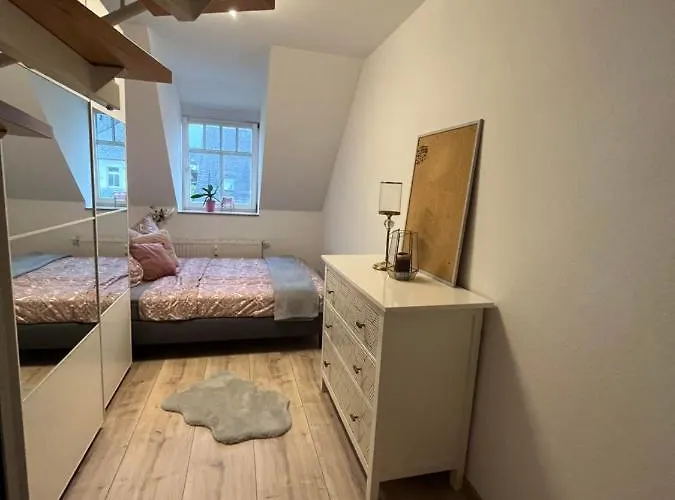 公寓 105 Qm Neues Klimatisiertes Fuer Familien Privater Parkplatz 开姆尼茨